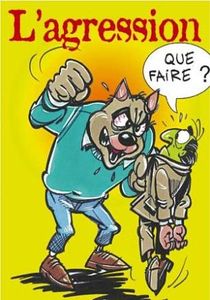 agression-copie-1.jpg