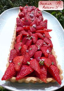 tartetoufraise1.jpg