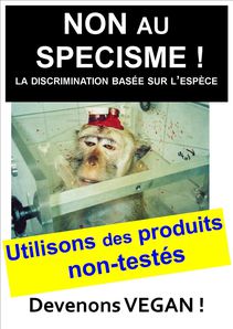 PUBLISHER-Non-au-sp-cisme-exp-rimentation-def.jpg