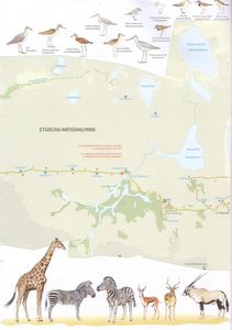 carte etosha 2