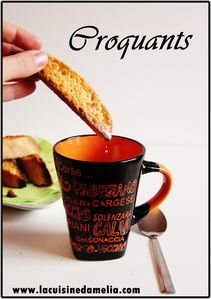 croquants (2)