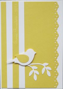 carte oiseau 3