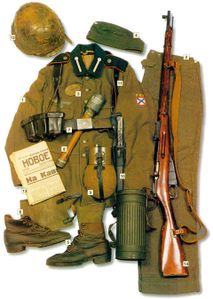 1z2kr49.jpg