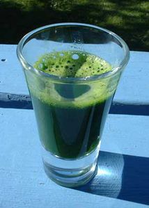 green-drink-wheat-grass-juice.jpg