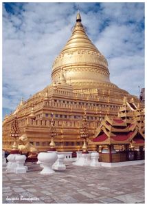 Pagan Dhamma Ya Zika