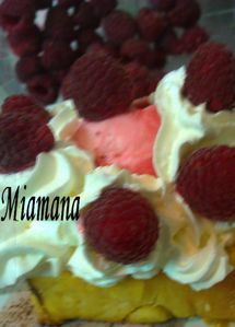 WP_000522.jpg