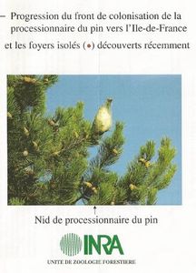 inra_chenille-processionnaire-du-pin.jpg