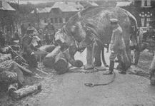 Elephant at work 1915