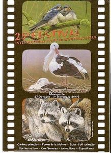 Festi-R.jpg