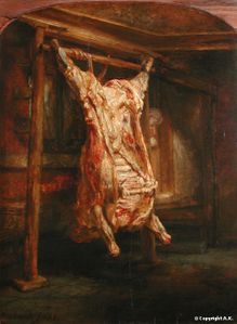 le-boeuf-ecorche-Rembrandt.JPG