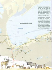 carte etosha 3