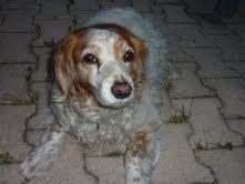 13 ans Oriane