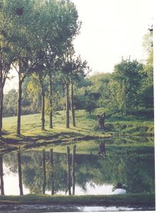 Copie de photo parc