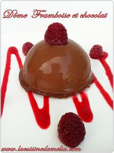 dome framboise choco bavarois (2)