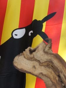 l'âne catalan et la vigne en tête à tête