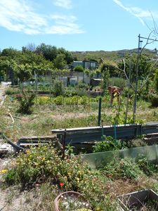 jardin ouvrier St Joseph Mlle (2)