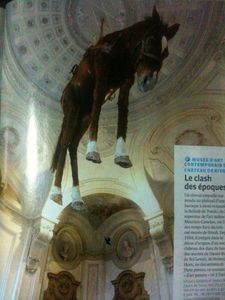 Turin-ane.jpg