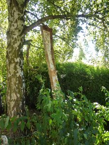 2012-09-07-Pat-Rouille pas stable (1)