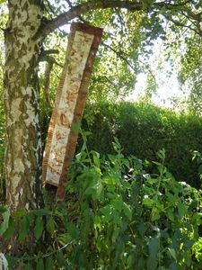 2012-09-07-Pat-Rouille-pas-stable--2-.JPG