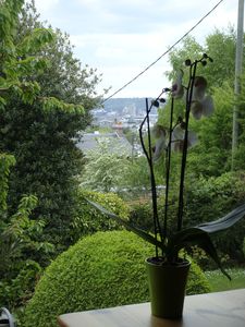 DSC03520.JPG