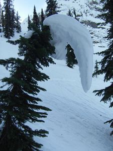 La bannana snow