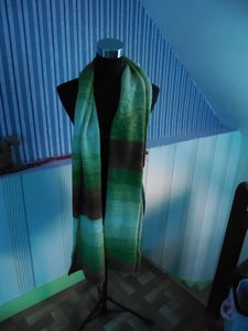 DSCN0095