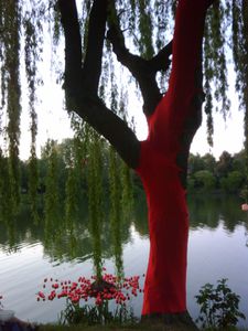 IMG00183-20100523-2108-copie-2
