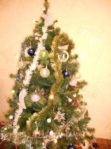 DSCN0045.JPG