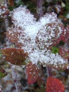 montner sous la neige 64