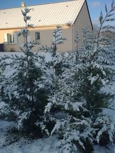 30012010_005.jpg