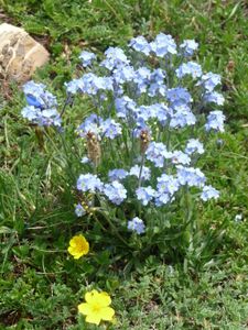 2011-06-29-Col de la Sestrière-34