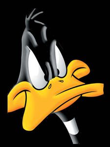 daffy0125.jpg