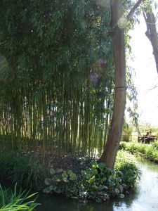 DSC02890