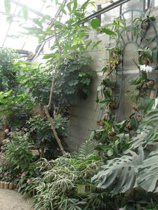 DSC01640