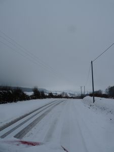 P1010988