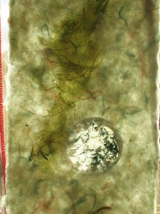 DSCN4511