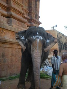 Tanjore-048.jpg