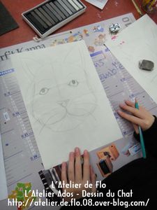 Oeil-de-chat-Atelier de Flo-Dessin-Peinture-Chat7