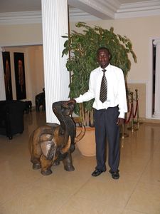P-elephant-red