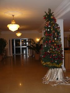 P-sapin-hotel