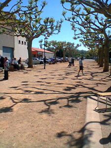 Photo0184