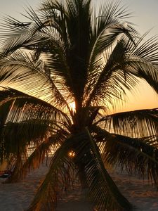 CUBA-20210-042.jpg