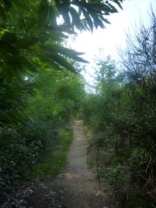 Sentier
