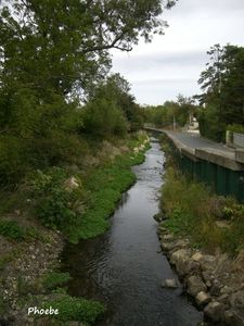 Dublin Suburbia
