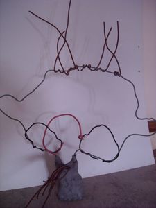 DSCN0321