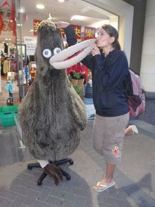 MAEV KIWI