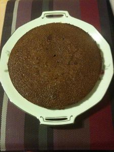 Gato choc