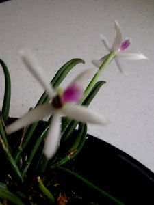 20030101 04 (9)
