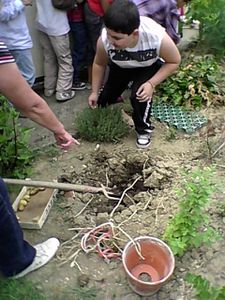 SP_A0033.jpg