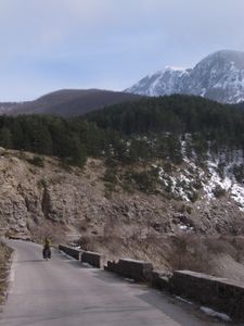 cromnalbgrec 015